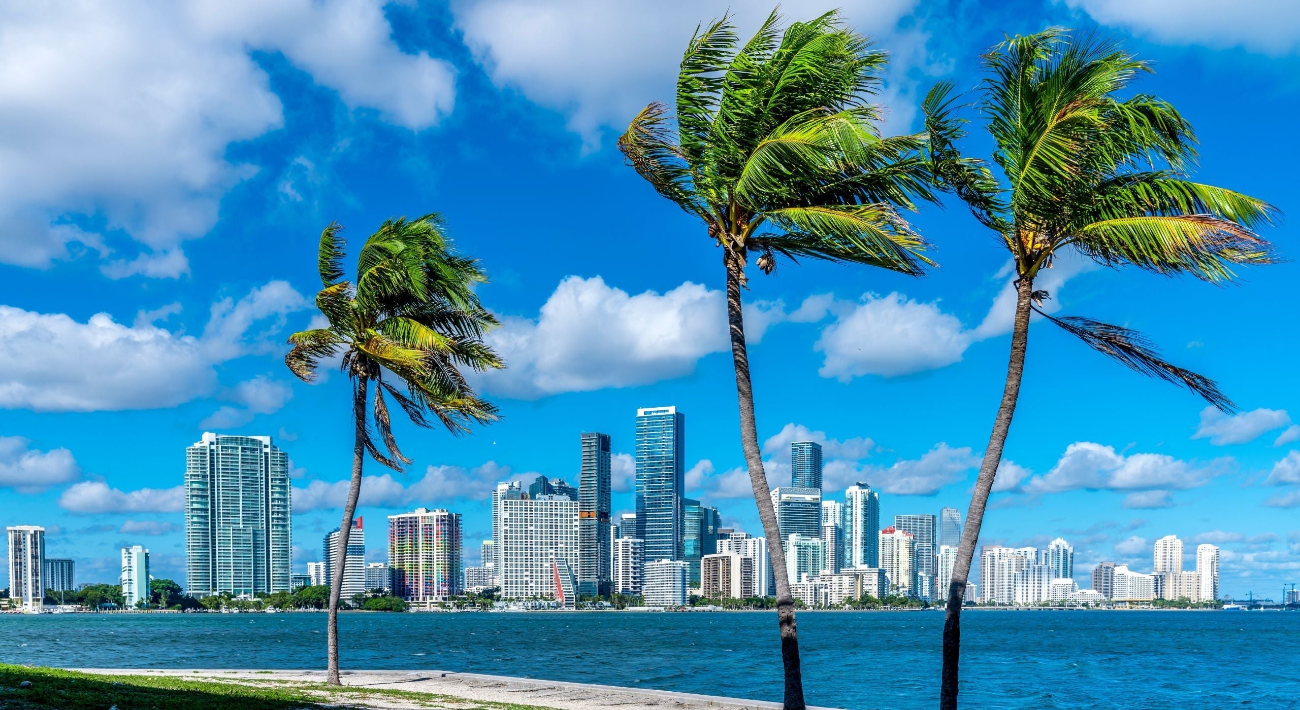 Foreign Pilot License Conversion to FAA (Florida Guide)